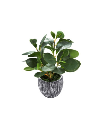 Black color flower table top